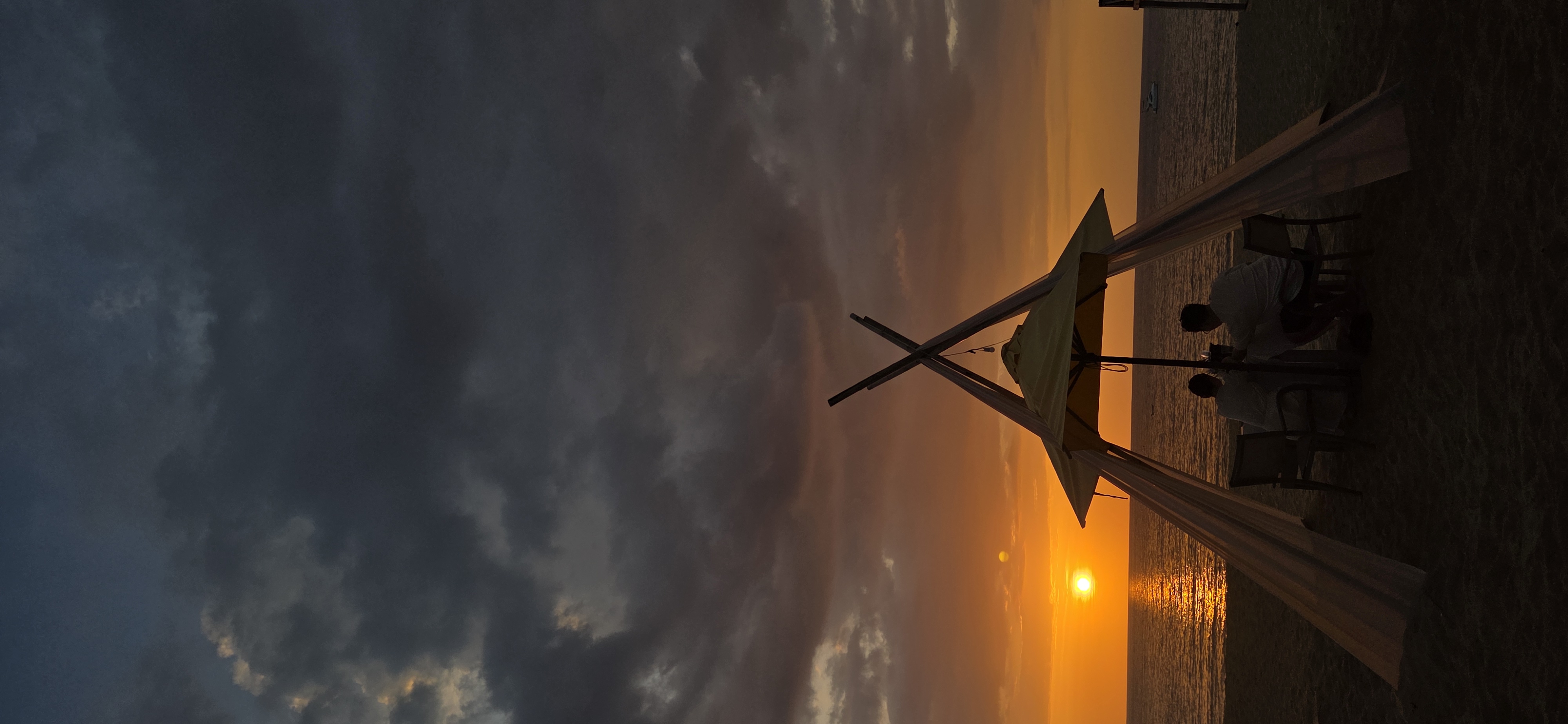 찰리 샐리 함께한 허니문!!