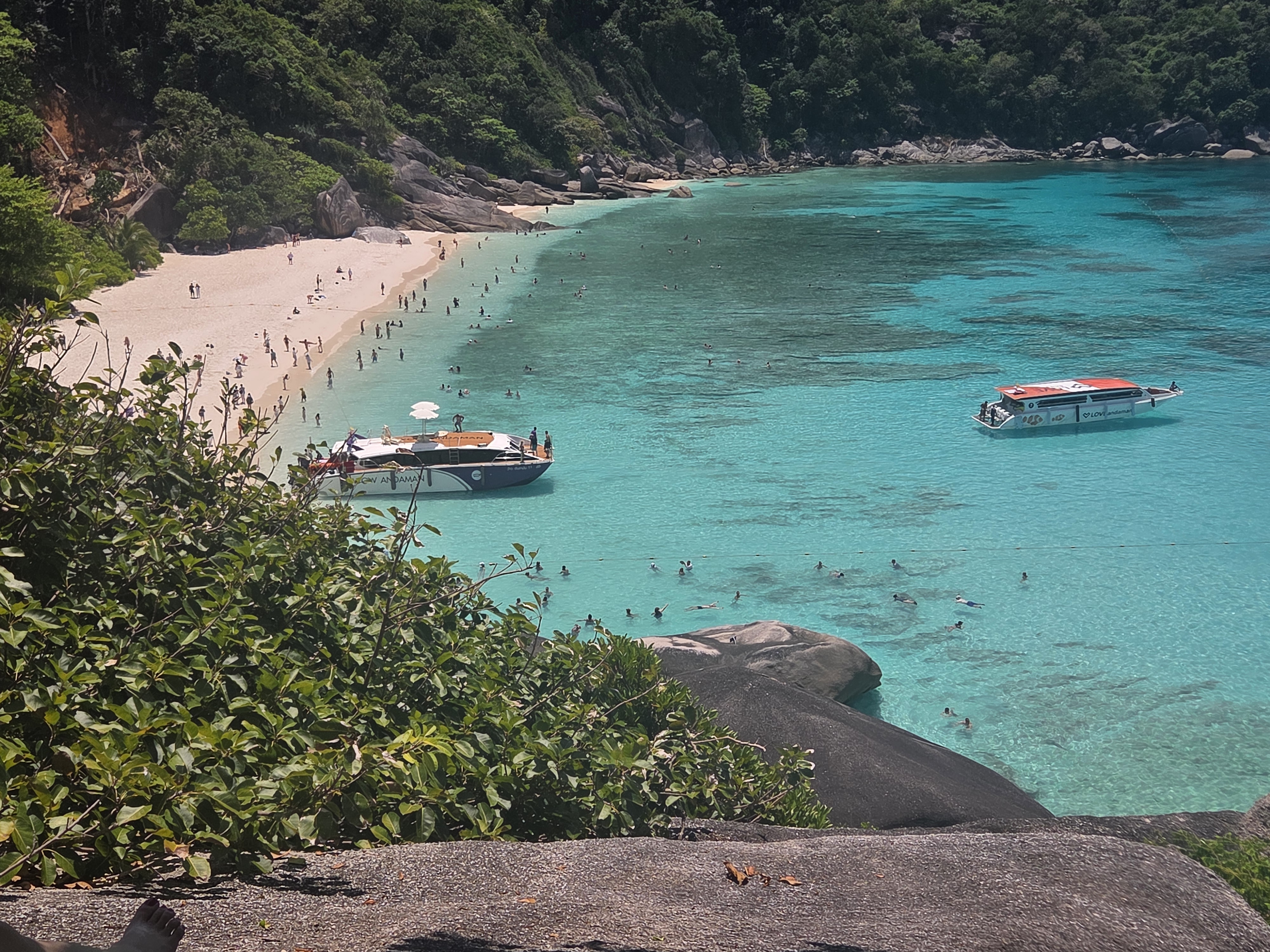 카오락 난리자베쓰--