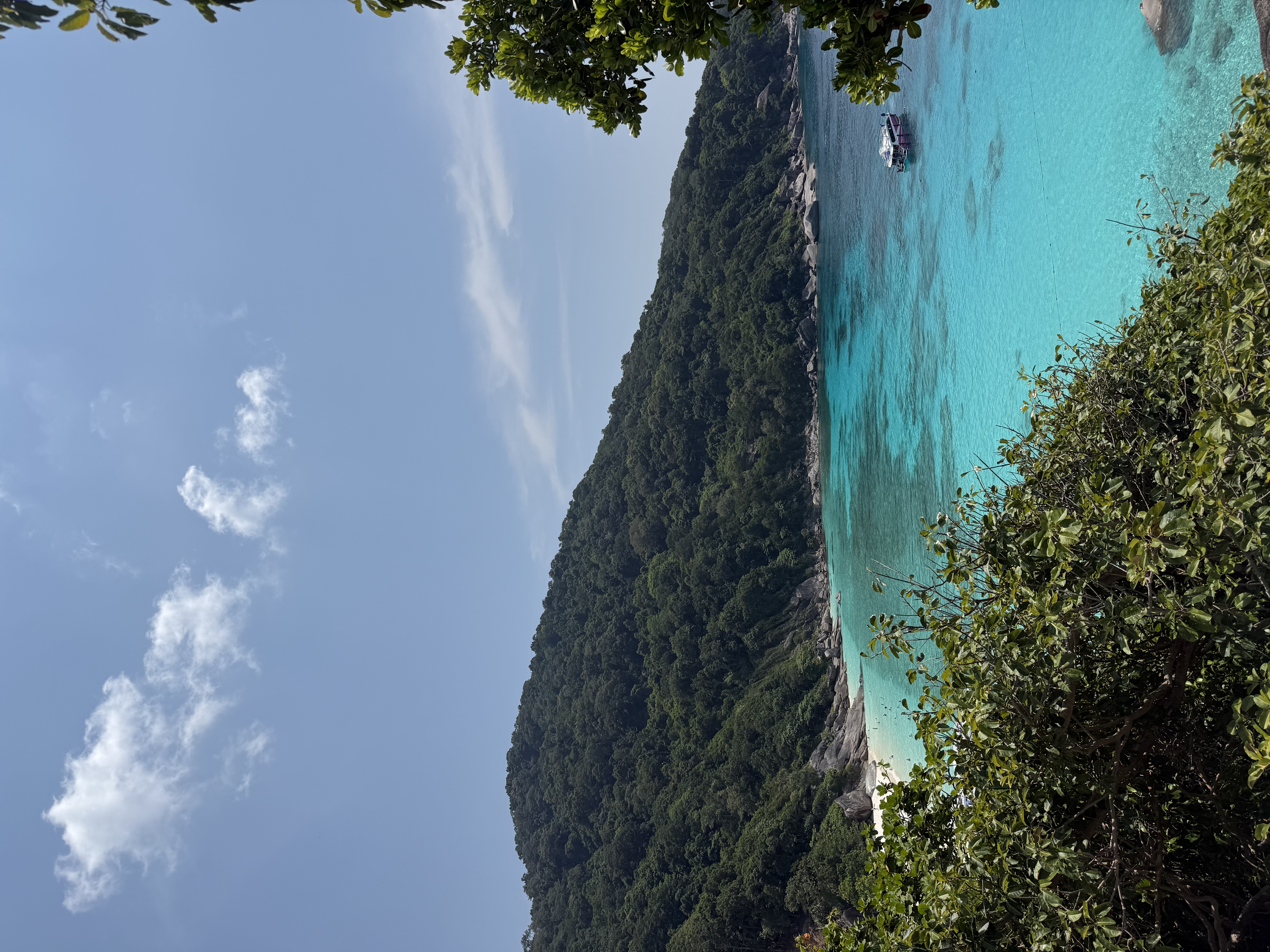 ​찰리 샐리와 함께한 행복한 카오락 허니문 후기✨